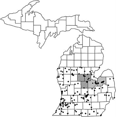 Wild <mark class="highlighted">Bee Pollen</mark> Diets Reveal Patterns of Seasonal Foraging Resources for Honey Bees
